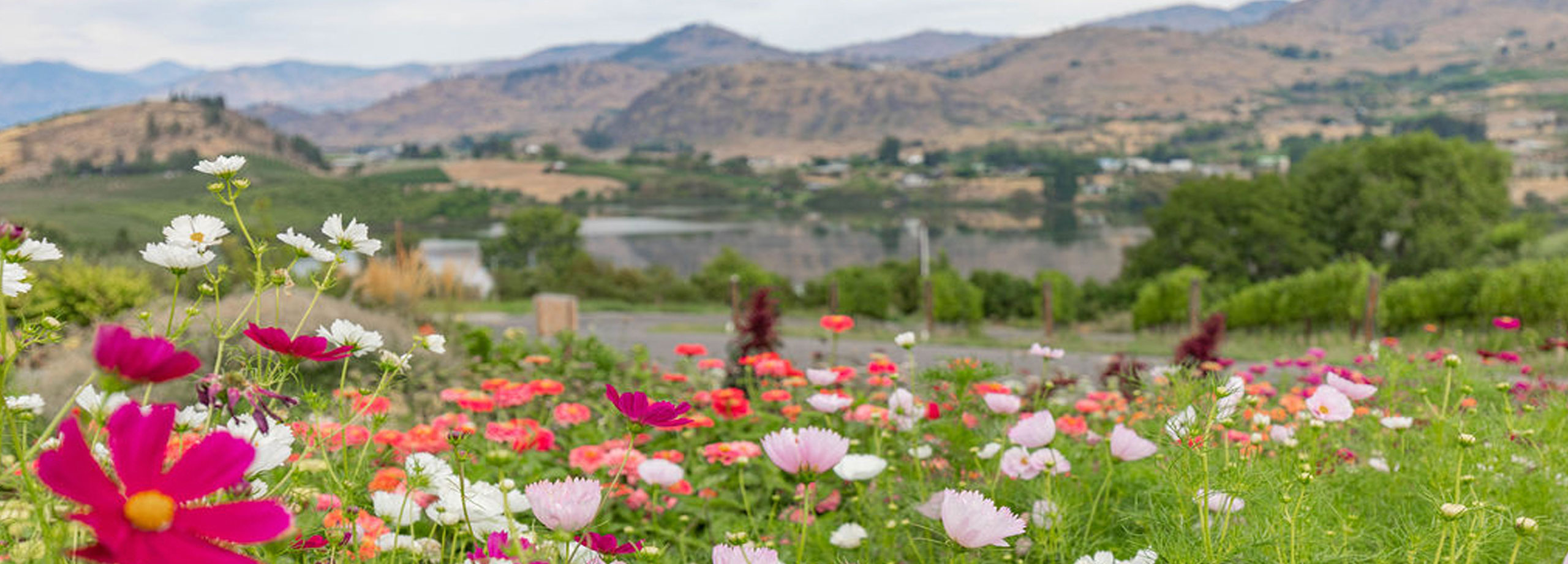 Chelan Valley Farms