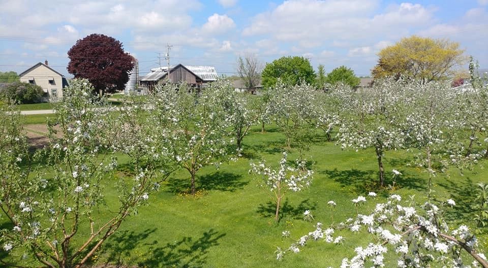 Sharkys Orchard