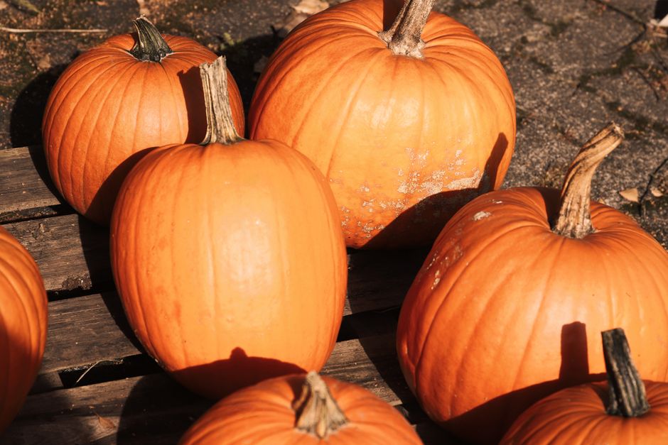Pumpkins