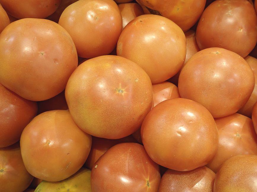 Tomatoes